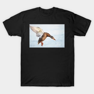 Mallard Duck T-Shirt